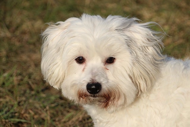 Z czym nosić tiulowa spódnicę? Z czym nosić tiulowa spódnicę?