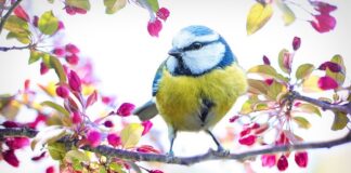 Co zrobić żeby CASE nie był żółty?