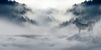 Jakie gumowce na zimę?