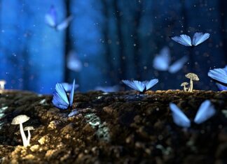 Dlaczego drewno jest zielone?