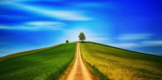 Czy chodzenie w kaloszach jest zdrowe?